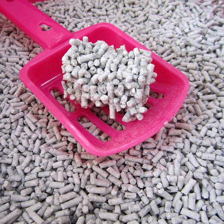 fussie cat litter.JPG